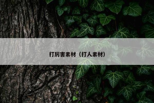 打厉害素材（打人素材）