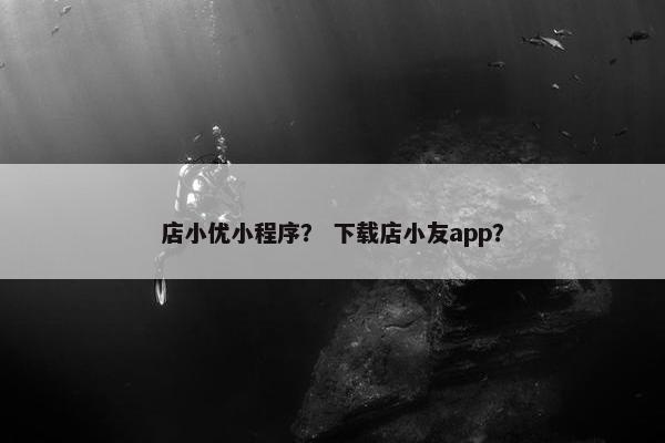 店小优小程序？ 下载店小友app？