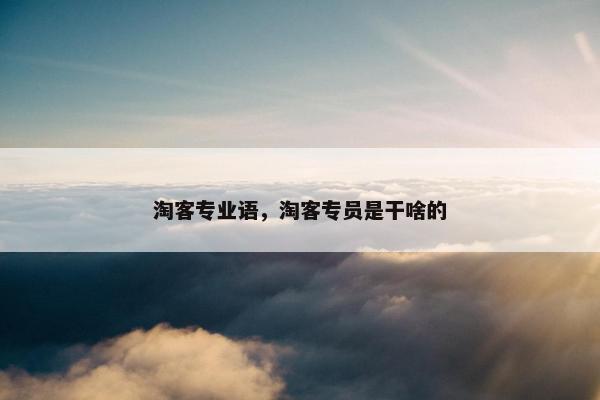 淘客专业语，淘客专员是干啥的