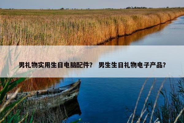 男礼物实用生日电脑配件？ 男生生日礼物电子产品？