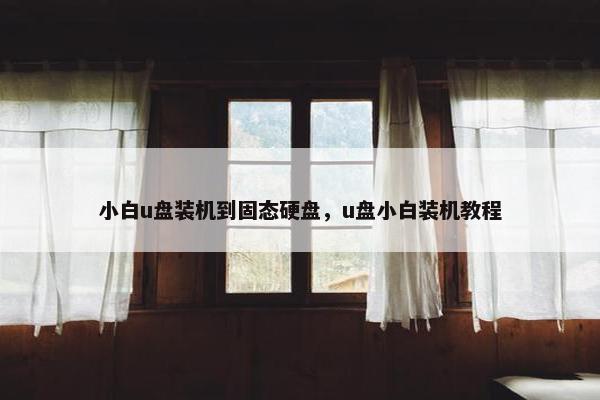 小白u盘装机到固态硬盘，u盘小白装机教程