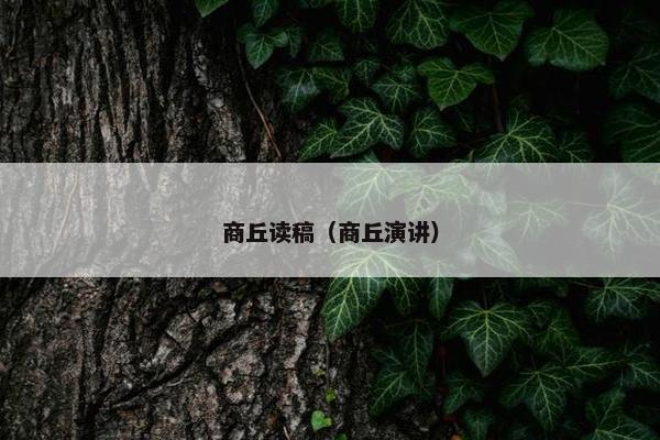 商丘读稿（商丘演讲）