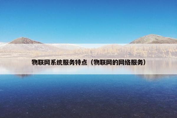 物联网系统服务特点（物联网的网络服务）
