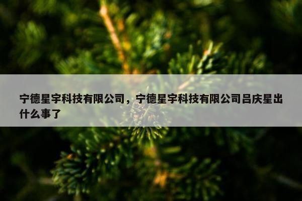 宁德星宇科技有限公司，宁德星宇科技有限公司吕庆星出什么事了