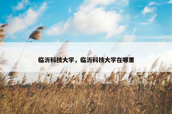 临沂科技大学，临沂科技大学在哪里