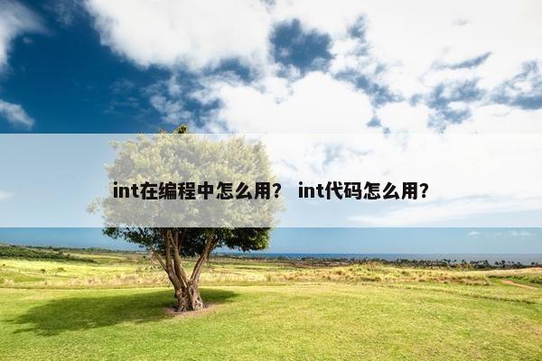 int在编程中怎么用？ int代码怎么用？