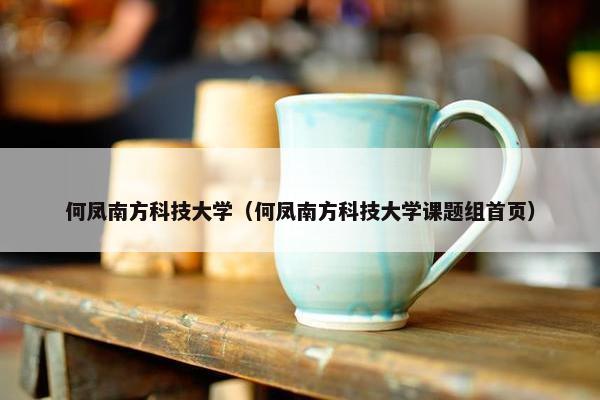 何凤南方科技大学（何凤南方科技大学课题组首页）