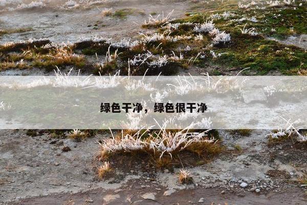 绿色干净，绿色很干净