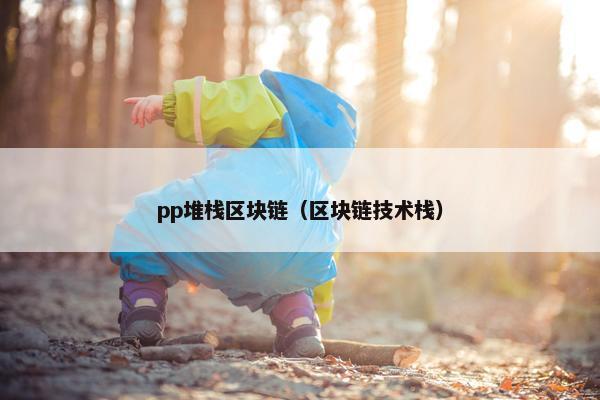 pp堆栈区块链（区块链技术栈）