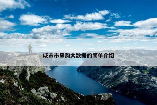 咸市市采购大数据的简单介绍