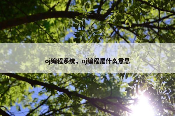 oj编程系统，oj编程是什么意思