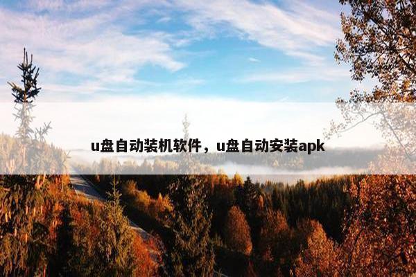 u盘自动装机软件，u盘自动安装apk