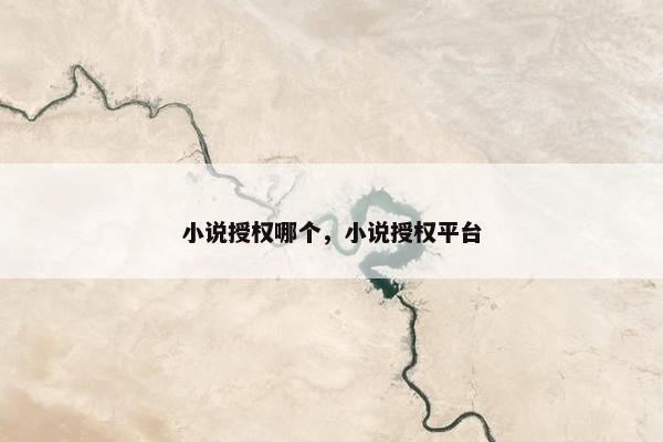 小说授权哪个，小说授权平台