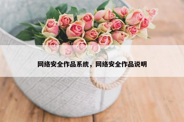 网络安全作品系统，网络安全作品说明