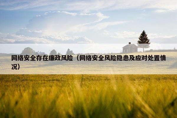 网络安全存在廉政风险（网络安全风险隐患及应对处置情况）