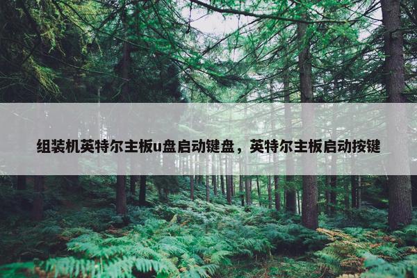 组装机英特尔主板u盘启动键盘，英特尔主板启动按键
