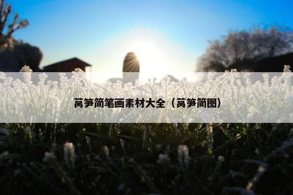 莴笋简笔画素材大全（莴笋简图）