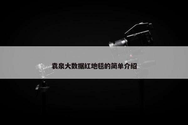 袁泉大数据红地毯的简单介绍