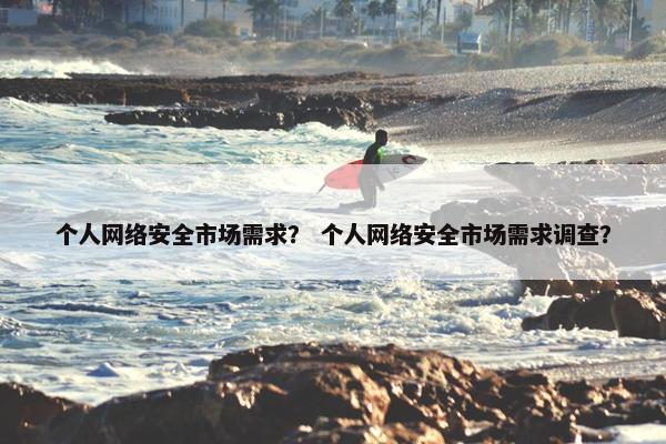 个人网络安全市场需求？ 个人网络安全市场需求调查？