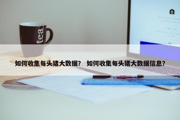 如何收集每头猪大数据？ 如何收集每头猪大数据信息？