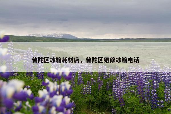 普陀区冰箱耗材店，普陀区维修冰箱电话