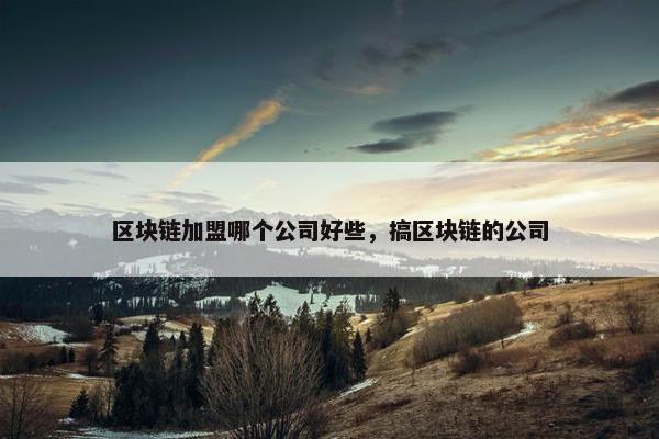 区块链加盟哪个公司好些，搞区块链的公司