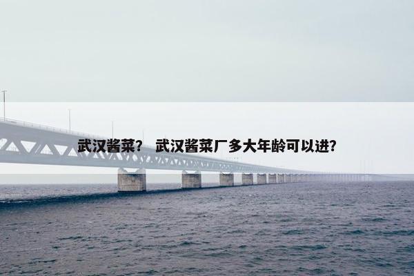 武汉酱菜？ 武汉酱菜厂多大年龄可以进？