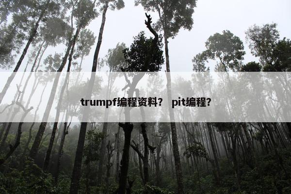 trumpf编程资料？ pit编程？