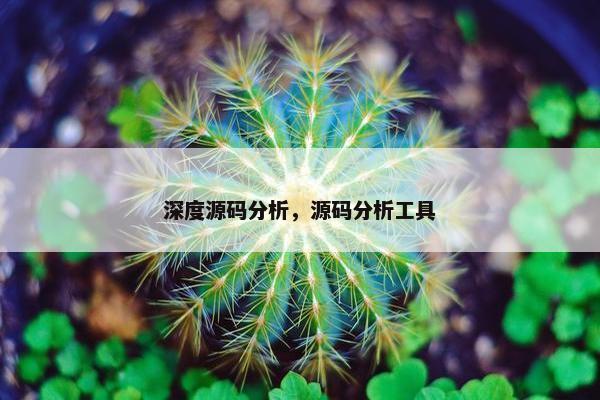 深度源码分析，源码分析工具