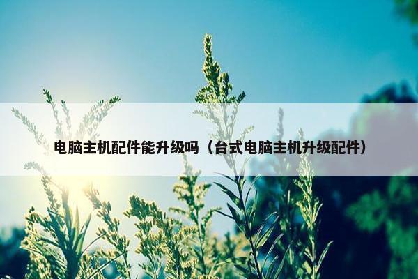 电脑主机配件能升级吗（台式电脑主机升级配件）