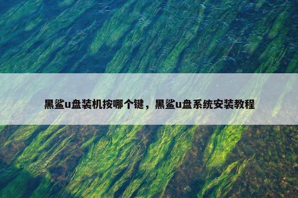 黑鲨u盘装机按哪个键，黑鲨u盘系统安装教程