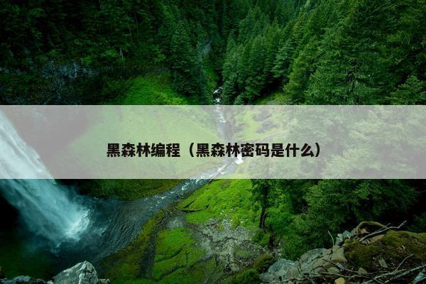 黑森林编程（黑森林密码是什么）