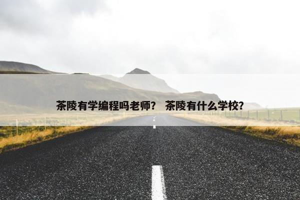茶陵有学编程吗老师？ 茶陵有什么学校？