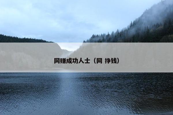 网赚成功人士（网 挣钱）
