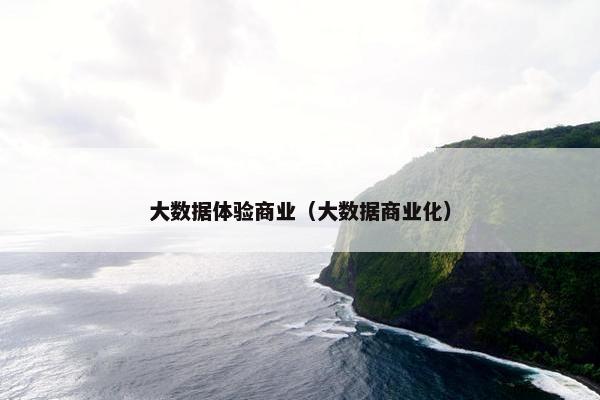 大数据体验商业（大数据商业化）