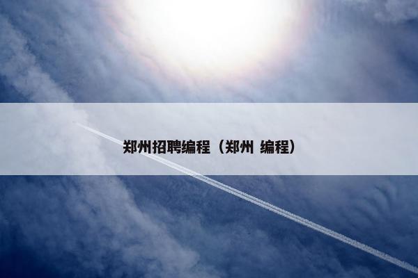 郑州招聘编程（郑州 编程）