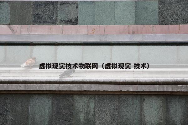 虚拟现实技术物联网（虚拟现实 技术）