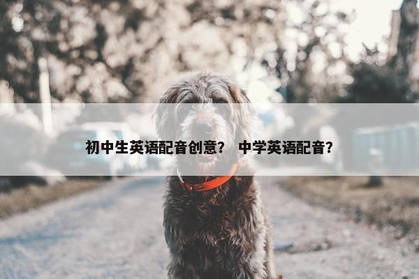 初中生英语配音创意？ 中学英语配音？