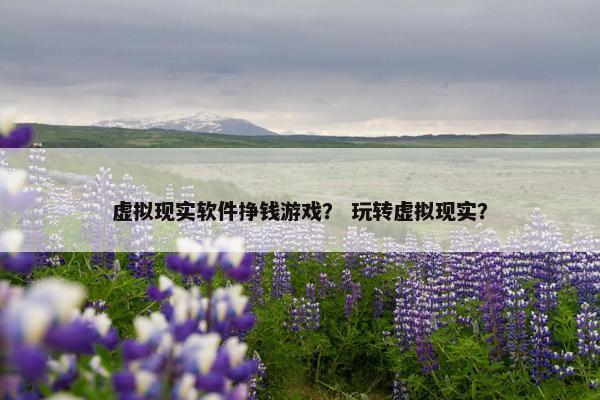 虚拟现实软件挣钱游戏？ 玩转虚拟现实？