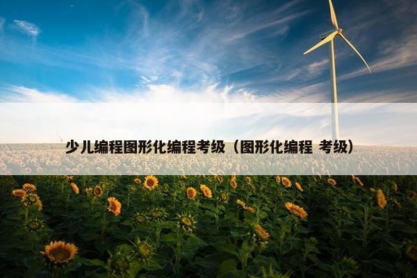 少儿编程图形化编程考级（图形化编程 考级）