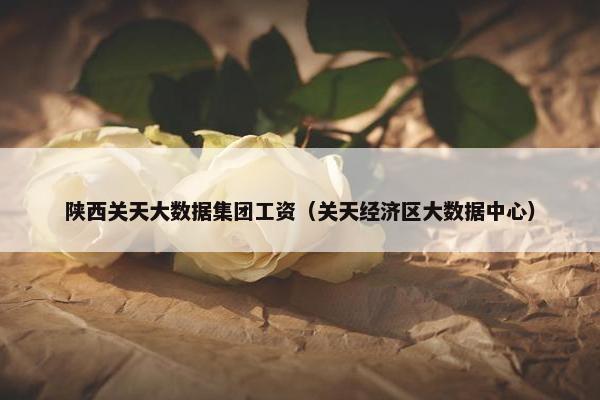 陕西关天大数据集团工资（关天经济区大数据中心）