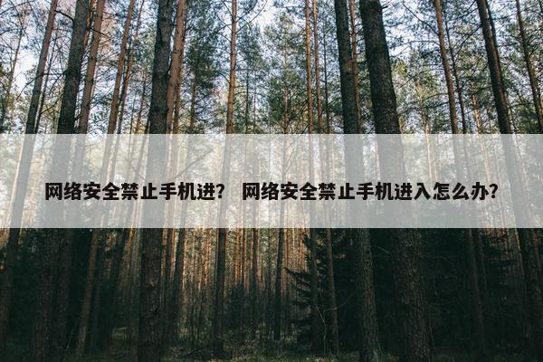 网络安全禁止手机进？ 网络安全禁止手机进入怎么办？