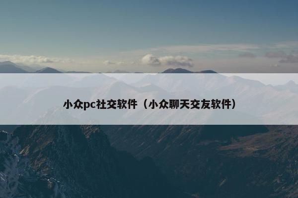 小众pc社交软件（小众聊天交友软件）
