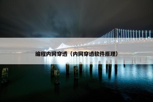编程内网穿透（内网穿透软件原理）