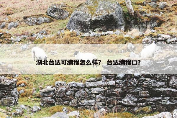 湖北台达可编程怎么样？ 台达编程口？