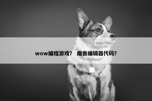 wow编程游戏？ 魔兽编辑器代码？