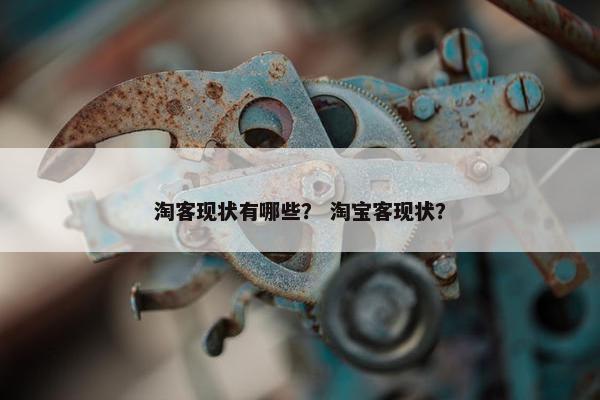 淘客现状有哪些？ 淘宝客现状？
