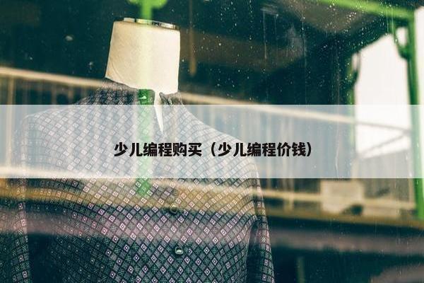少儿编程购买（少儿编程价钱）