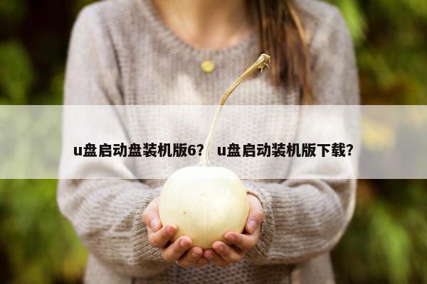 u盘启动盘装机版6？ u盘启动装机版下载？