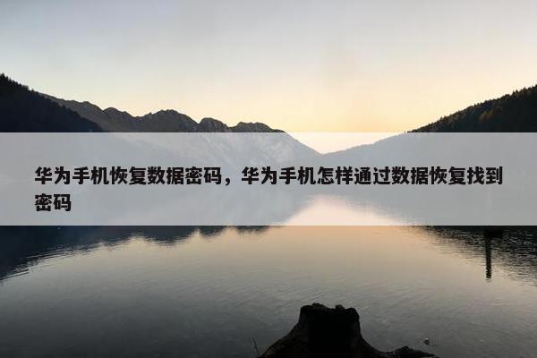 华为手机恢复数据密码，华为手机怎样通过数据恢复找到密码
